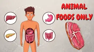 What HAPPENS to Your Body on a CARNIVORE DIET!!