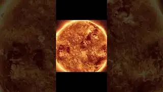 Ее масштабы поражают. #facts #youtube #shorts