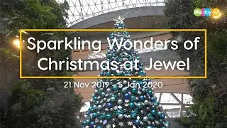 Sparkling Wonders of Christmas at Jewel