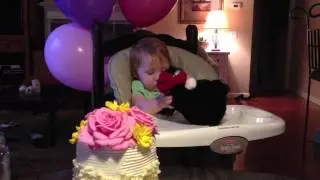 Mara's 1st Birthday
