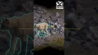 Lov rysa na mušku | theHunter: Call of the wild  |  Česky