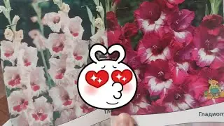 САДОВЫЕ ПОКУПКИ В ЛЕРУА МЕРЛЕН☆ЛЕРИН САД 👩🕊