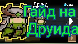 Гайд на Друида soul knight /соул найт.