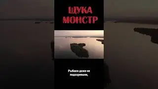 САМАЯ БОЛЬШАЯ ЩУКА в России 