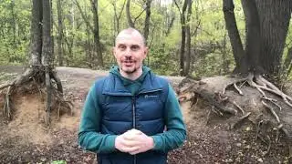 Зачем восстанавливать связь с Родом?