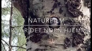 Naturfilm Det var noen hjemme.