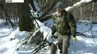 В Приморье поисковики обнаружили самолёт