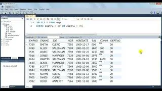 MySQL Operator OR || (Visit description for more info)