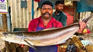 KASIMEDU SPEED SELVAM COBIA KADAVARA FISH CUTTING VIDEO CUTTING FOCUS