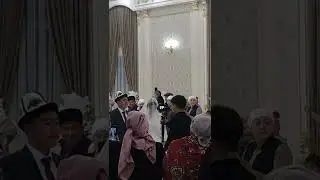 тойлор(1)