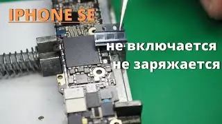 iPhone SE не включается, не заряжается  Замена контроллера заряда