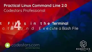 Create and Execute a Bash file - Practical Linux Command Line 2.0