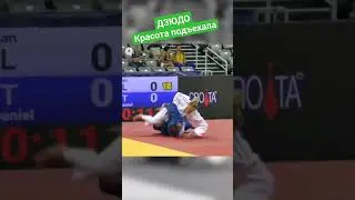 Красота подъехала. #judo #иппон #борьба #бросок #дзюдо #judoka #sport #победа #mma #martialart