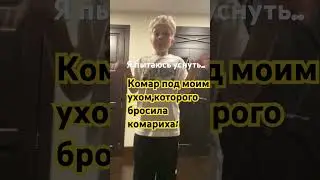 6 апреля 2024 г.