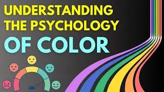 The Psychology of Color - How It Influences Your Mood and Behavior