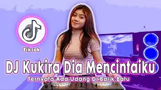 Dj Ku Kira Dia Mencintaiku || Ternyata Ada Udang DiBalik Batu || Dj Tiktok Terbaru 2021