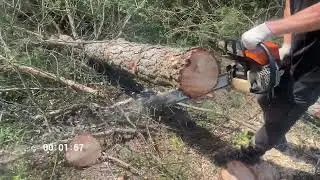 Тест бензопил Stihl MS 250 и GEOS CSP 356: кто же лучше?