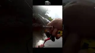 Casting Black Bass di Depan Pintu 