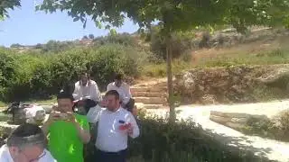 כולל אחוות תורה מודיעין עילית