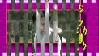 中國武術名拳錄   功力拳