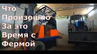 Новости с фермы / Что произошло за это время