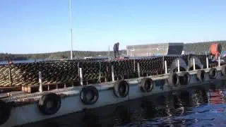 Раскантовка понтона