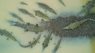 COSTA RICA LIKE YOU HAVE NEVER SEEN IT BEFORE - by Niklas Weber