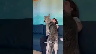 Индийская легенда гласит
