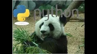 Python Pandas Library and Jupyter Notebook