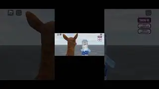 ni kononsh kononsh tang tang🙃