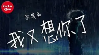 抖音《我又想你了》劉奕辰【動態歌詞Lyrics】