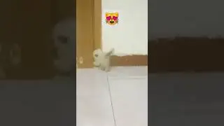 aku mau keluar.....