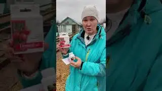 Как использовать Гамаир от парши и пятнистости  #гамаир #грядки #огород