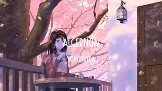 Yorushika - Algernon/アルジャーノン (Lyrics)
