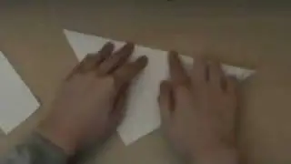 How to Make a Origami Crane and Frog
