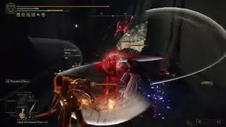 Elden Ring Malenia Invasion