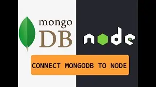 Connect MongoDB to Node.js