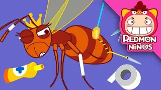 ¡Salven a la Reina Hormiga! | Equipo de rescate de insectos | redmon Español | REDMON NiÑOS