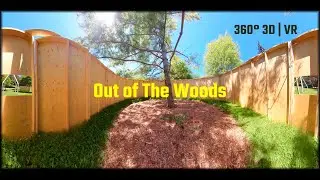 Out of the Woods  - 360 3D VR video with spatial audio