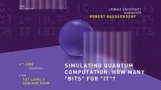 Simulating quantum computation: how many "bits" for "it"?