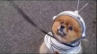 Главное чтобы костюмчик сидел