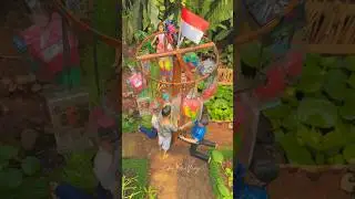 Lomba panjat pinang #barbiejowo #panjatpinang #17agustus