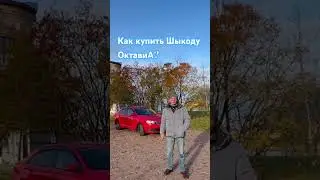 Как мне дети подарили #ШкодаОктавиа 89602621760