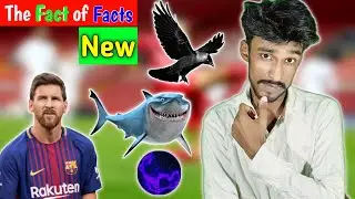 Interesting Random Facts Countdown | The Fact of Facts