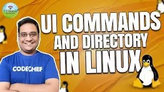 UI Commands Line: Easy Guide to Create, Navigate, and Manage Directories in LINUX 👨🏼‍💻