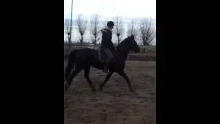Lisette op Born to be wild (draf)