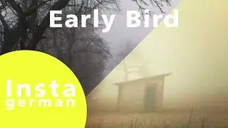 Early Bird - Instagram Effekt [Photoshop Anfänger]