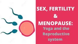 Sex Fertility Menopause: Talk 2