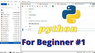 How to run Python program | Tutorial For Beginners | python basics 🔥