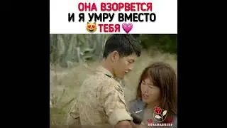 потомки солнца😻🔥🔥